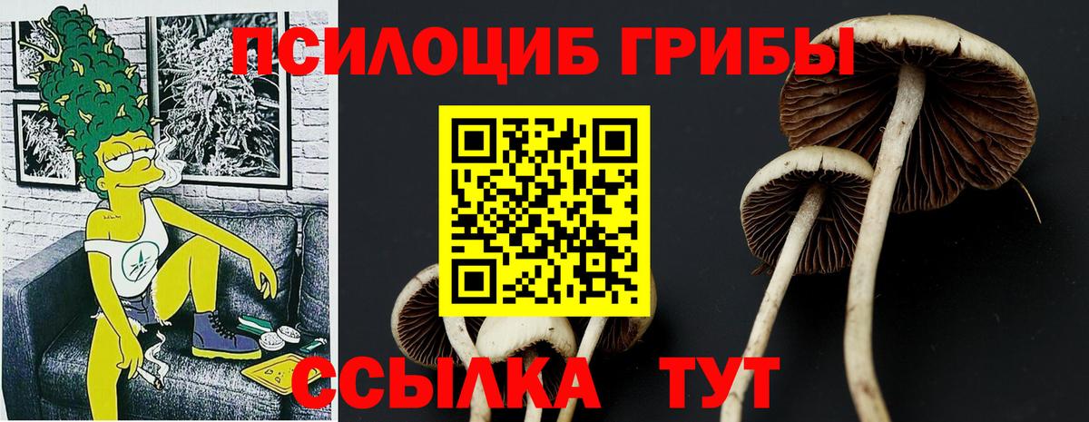 Галлюциногенные грибы прущие грибы  Псилоцибиновые грибы Cubensis  Гагарин  Вход с VPN 